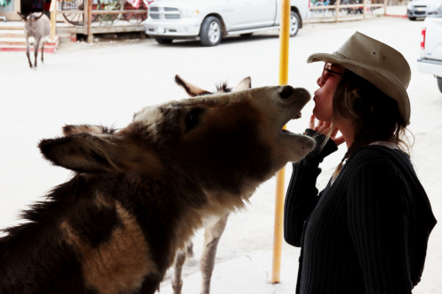 2024-RustyRoadTrip-1288fhd