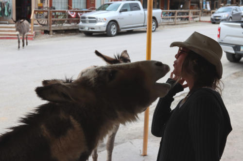 2024-RustyRoadTrip-1289fhd