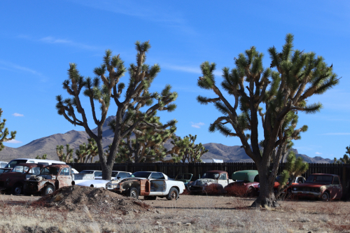 2024-RustyRoadTrip-1313fhd