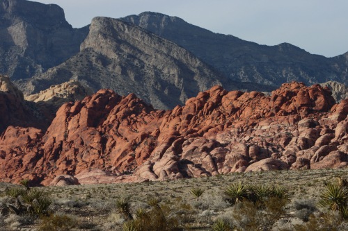 2024-RustyRoadTrip-1346fhd