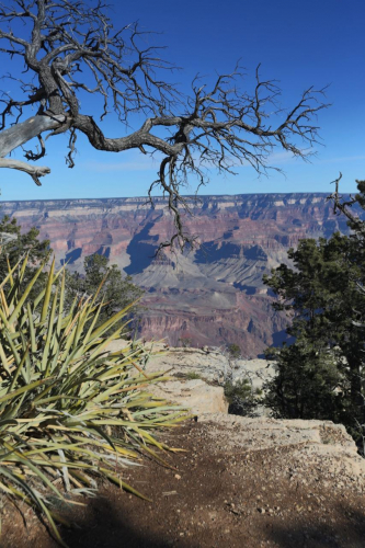 GrandCircle2015-0304