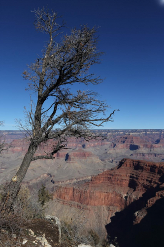 GrandCircle2015-0344