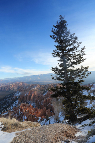 GrandCircle2015-1496FullHD