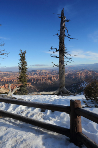 GrandCircle2015-1498FullHD