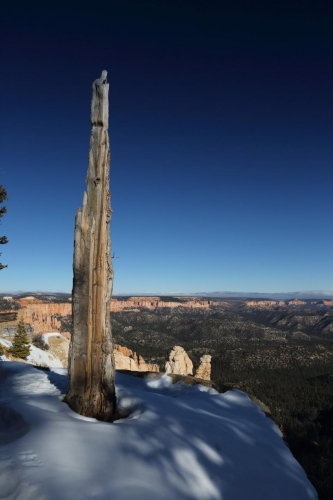 GrandCircle2015-1544FullHD