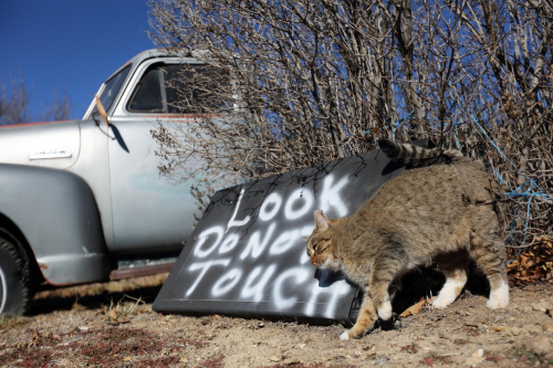 GrandCircle2015-1657FullHD