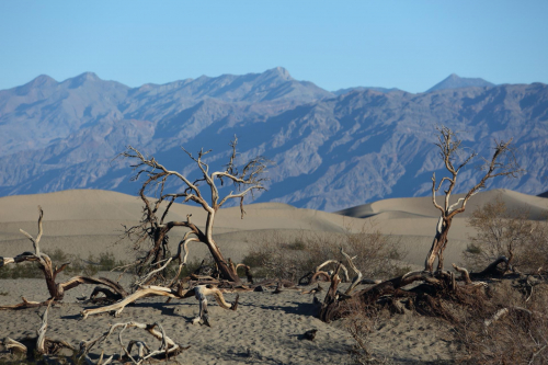 GrandCircle2015-2049FullHD