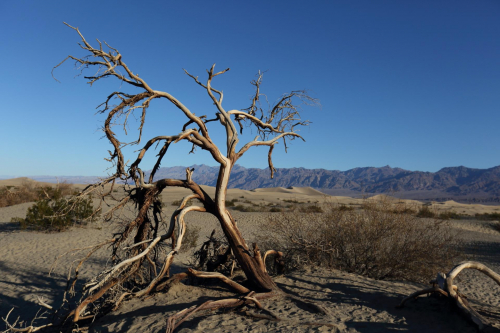 GrandCircle2015-2051FullHD