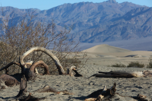 GrandCircle2015-2081FullHD