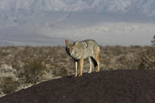 GrandCircle2015-2101FullHD