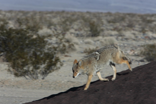 GrandCircle2015-2109FullHD