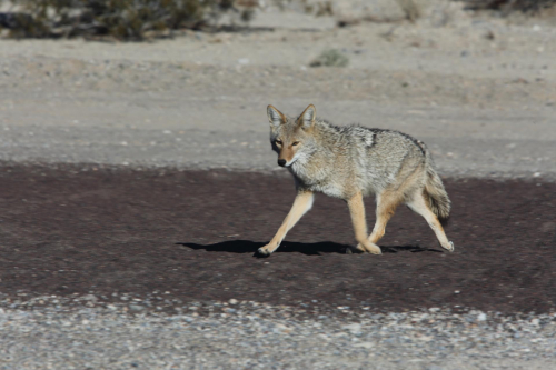 GrandCircle2015-2110FullHD