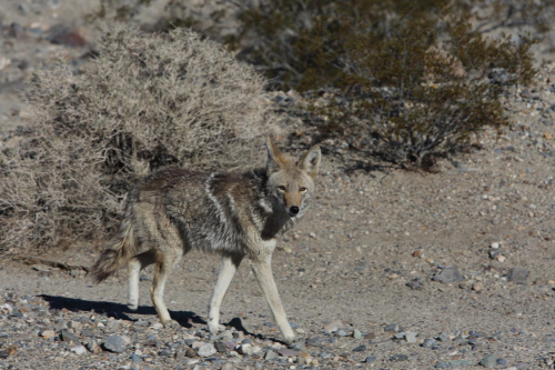 GrandCircle2015-2127FullHD