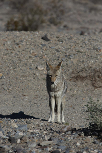 GrandCircle2015-2183FullHD