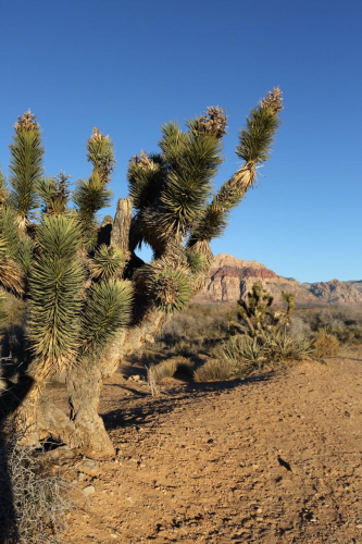 GrandCircle2015-2339FullHD