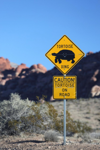 GrandCircle2015-2346FullHD