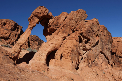 GrandCircle2015-2428FullHD