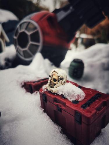 IMG 20210215 114953-01