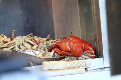 SanFrancisco2014-0013