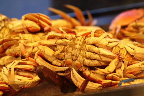 SanFrancisco2014-0021