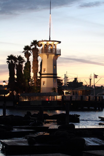 SanFrancisco2014-0029