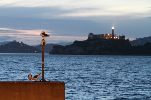 SanFrancisco2014-0031