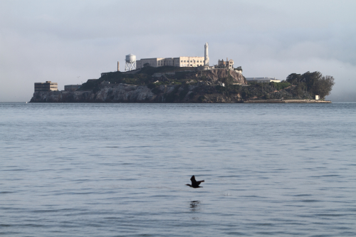 SanFrancisco2014-0063