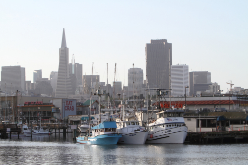 SanFrancisco2014-0075