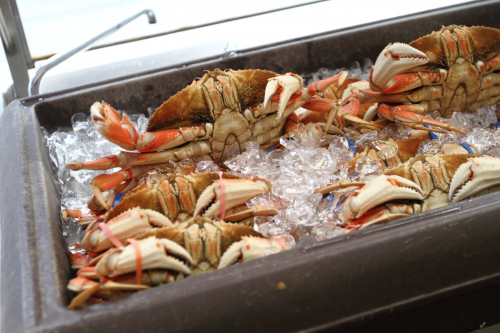 SanFrancisco2014-0185