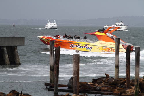 SanFrancisco2014-0199