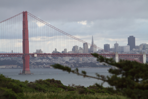 SanFrancisco2014-0328