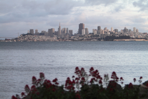 SanFrancisco2014-0384