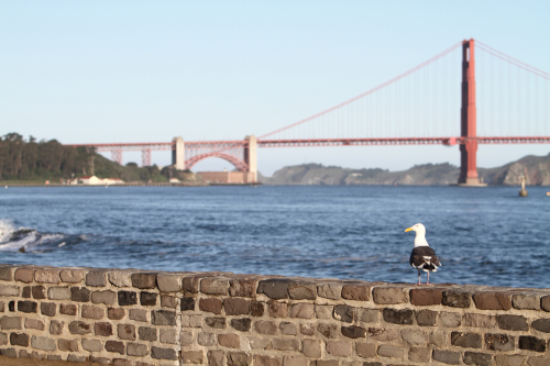 SanFrancisco2014-0423