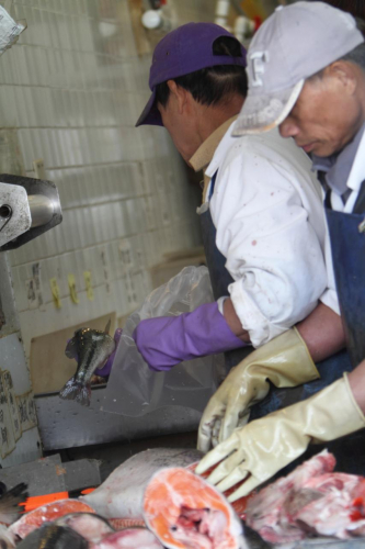 SanFrancisco2014-0559