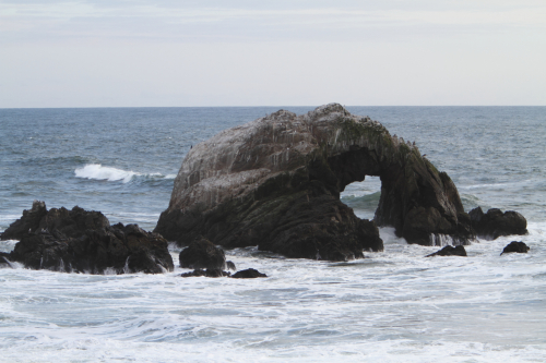 SanFrancisco2014-0577