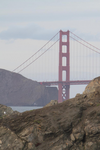 SanFrancisco2014-0578