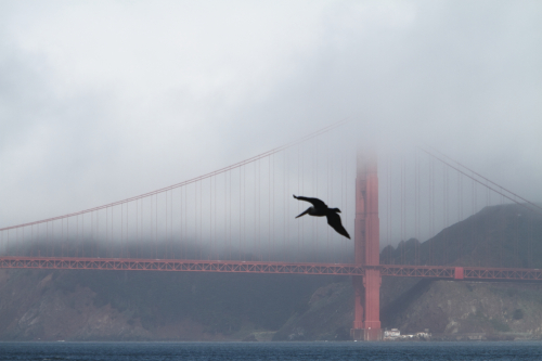 SanFrancisco2014-0615