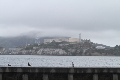 SanFrancisco2014-0634