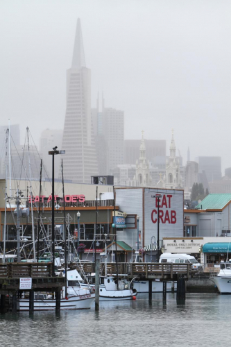 SanFrancisco2014-0640