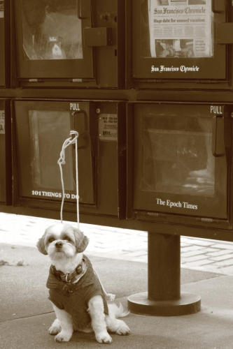 SanFrancisco2014-0665