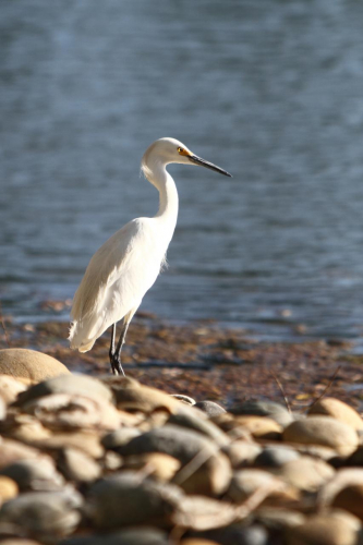 SanFrancisco2014-0703